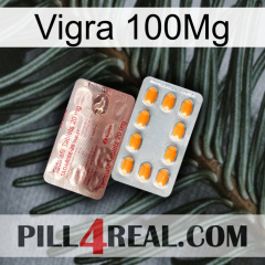 Vigra 100Mg new13